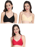 Liigne Women Everyday Padded Bra (Pack of 3) - Liigne