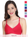 Solid Padded Bra (Pack Of 6)