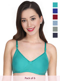 Solid Padded Bra (Pack Of 6)