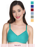 Solid Padded Bra (Pack Of 6)