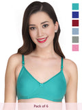 Solid Non Padded Bra (Pack Of 6)