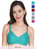 Solid Padded Bra (Pack Of 6)